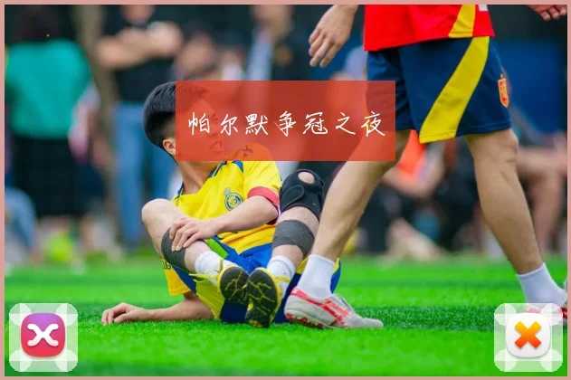 帕尔默争冠之夜
