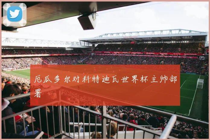 厄瓜多尔对科特迪瓦世界杯主帅部署