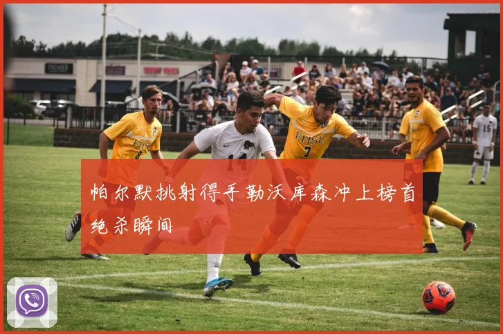 帕尔默挑射得手勒沃库森冲上榜首绝杀瞬间