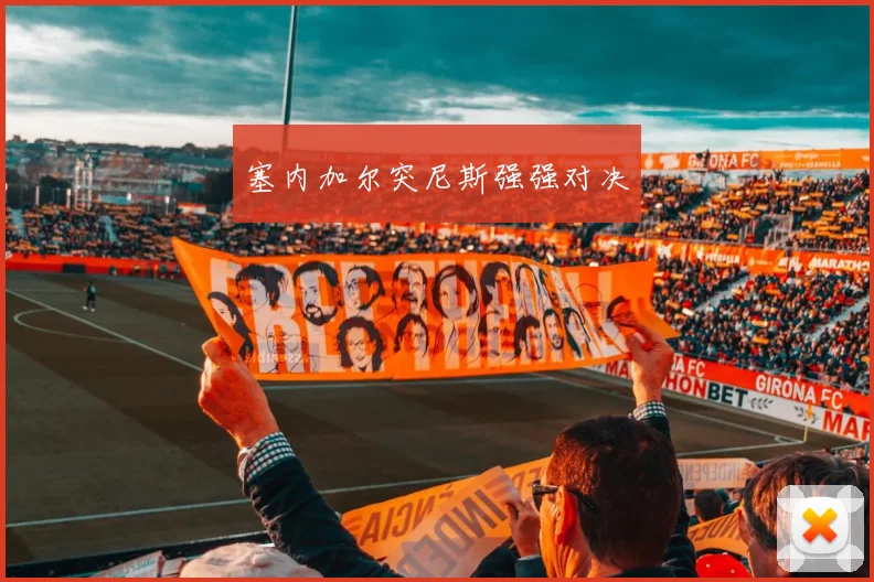 塞内加尔突尼斯强强对决
